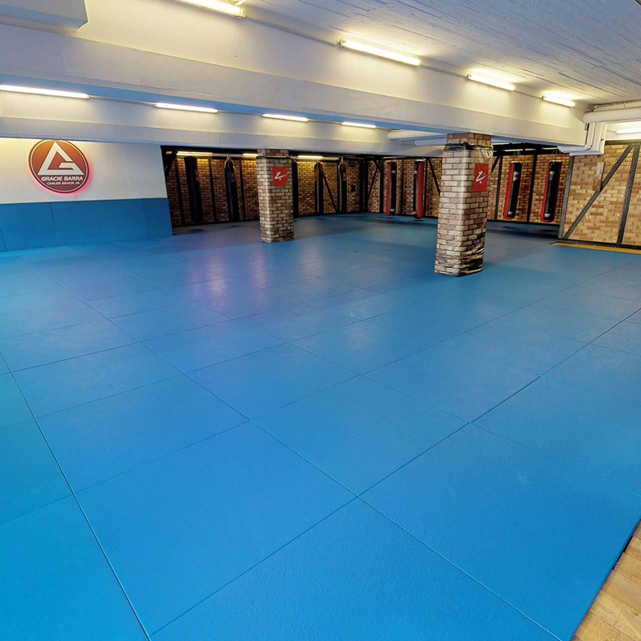 BJJ Trainingshalle im Zanshin Dojo Hamburg