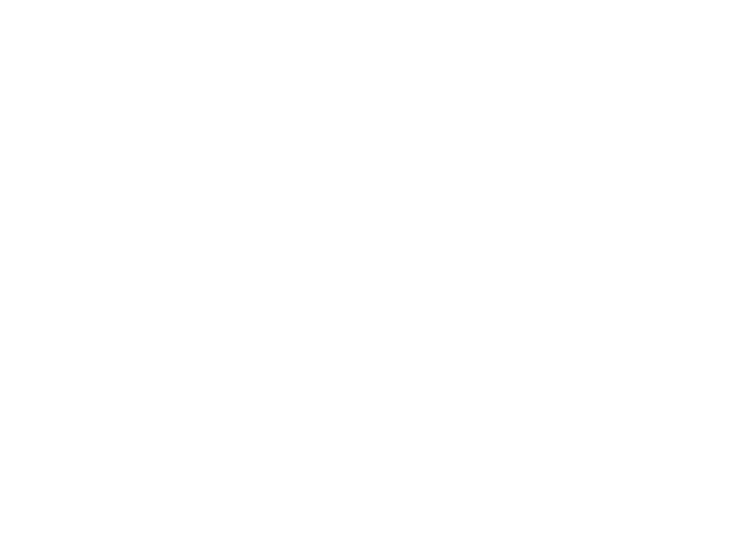 Zanshin Dojo Hamburg Logo weiß